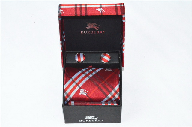 Burberry Ties 24